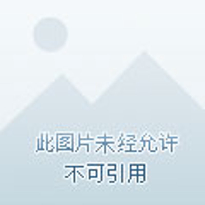 美国签证拒签带来的挑战与应对策略